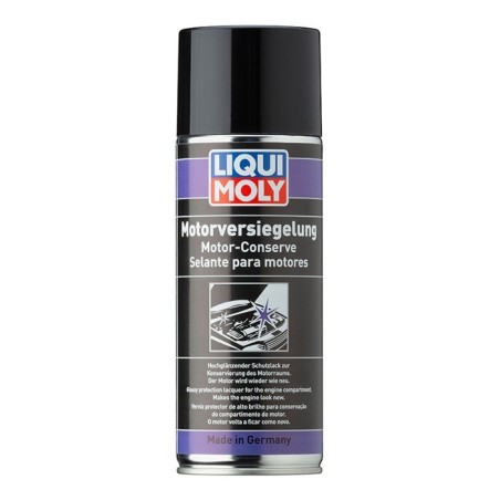 LAK NA MOTOR OCHRANNY 300ml LAK NA MOTOR OCHRANNY 300ml