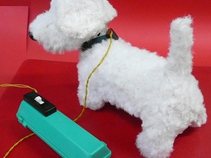 Dog white 2